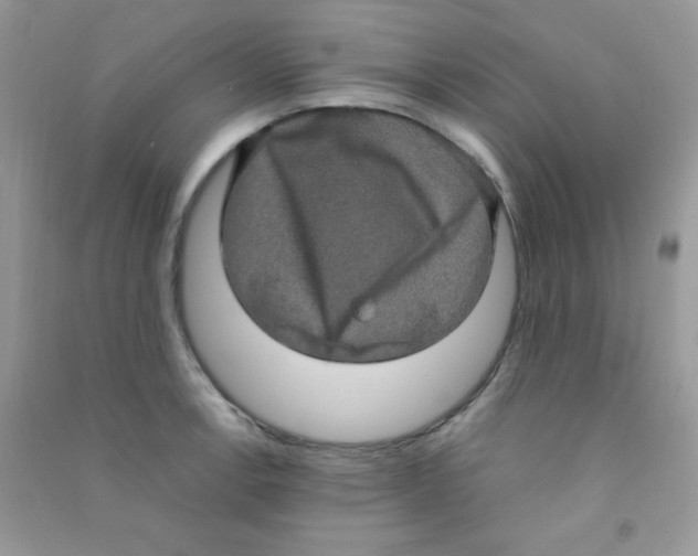 X0000090621138200708141407