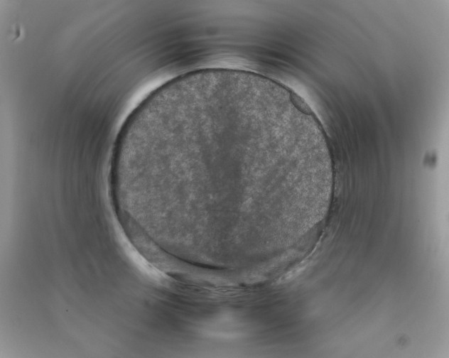 X0000090621139200708141407