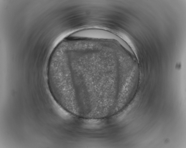 X0000090621141200708141407