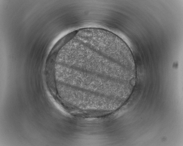 X0000090621142200708141407