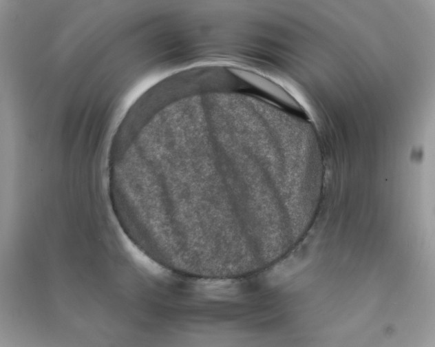 X0000090621143200708141407