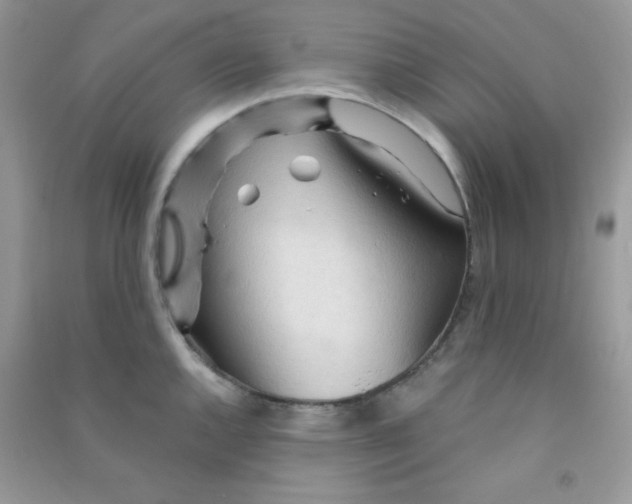 X0000090621144200708141407