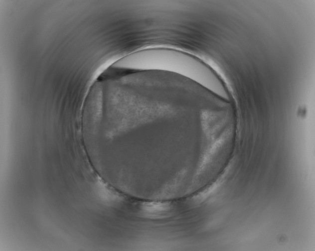 X0000090621145200708141407