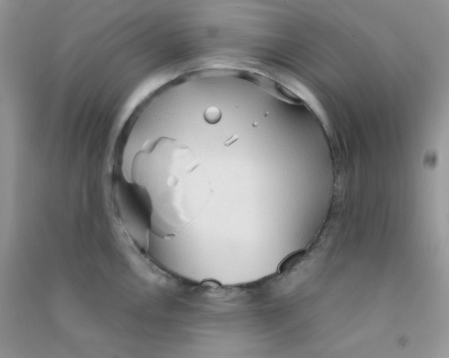 X0000090621146200708141407