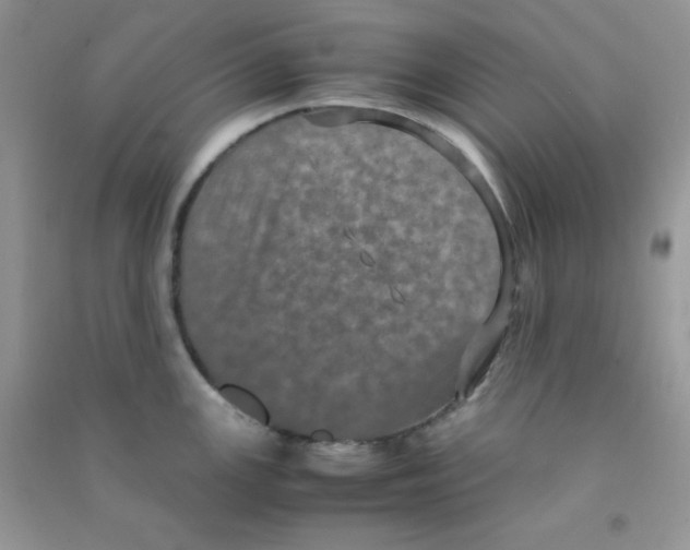 X0000090621147200708141407