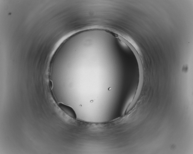 X0000090621148200708141407