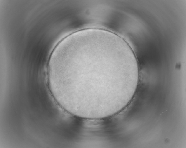 X0000090621150200708141407