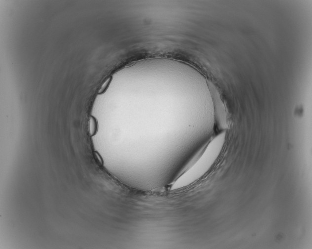 X0000090621153200708141407