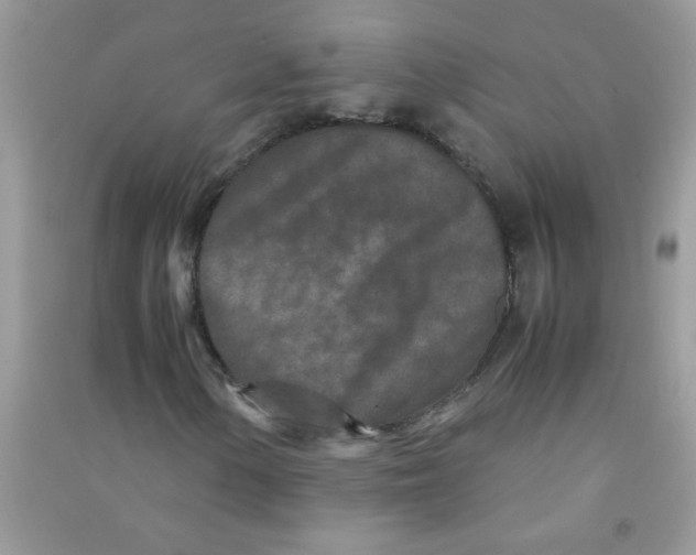 X0000090621154200708141407