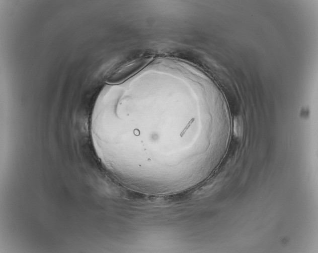 X0000090621155200708141407