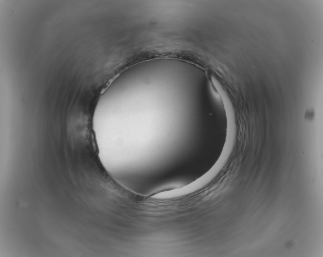 X0000090621156200708141407