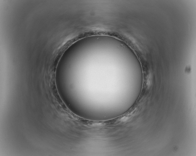 X0000090621157200708141407