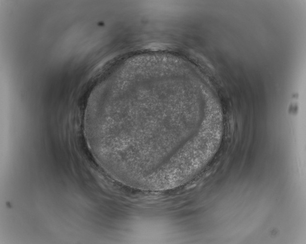 X0000090621158200708141407