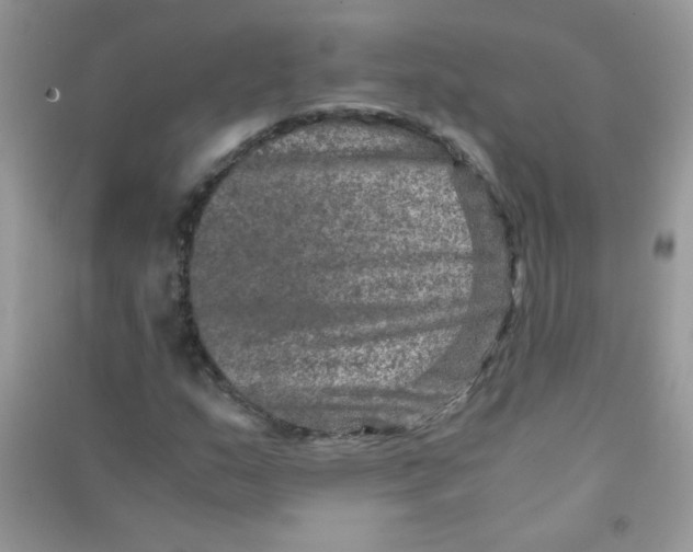 X0000090621159200708141407