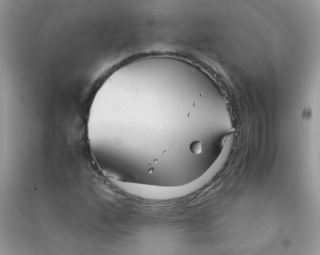 X0000090621160200708141407