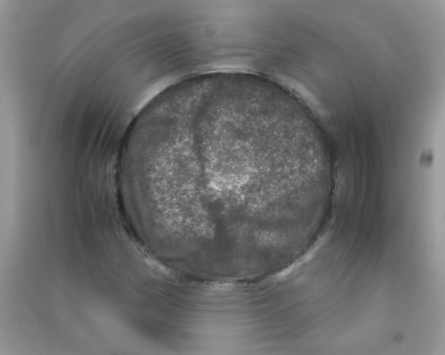 X0000090621162200708141406