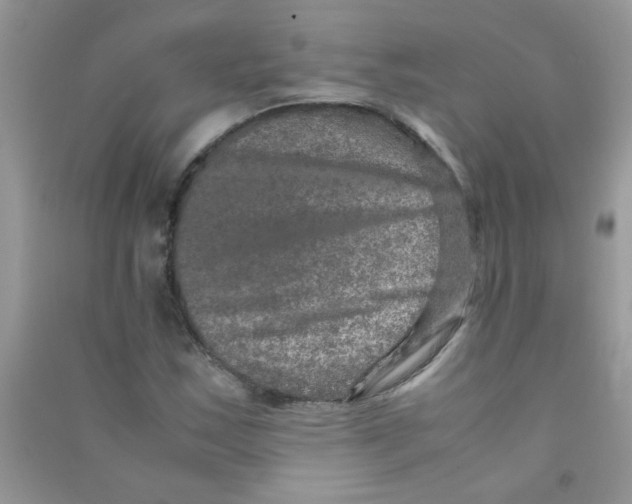 X0000090621163200708141406