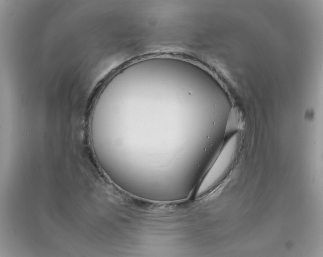 X0000090621165200708141406