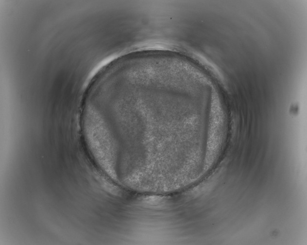 X0000090621166200708141406