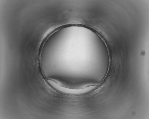 X0000090621168200708141406