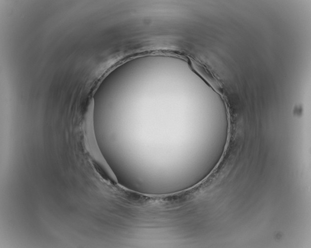 X0000090621169200708141406