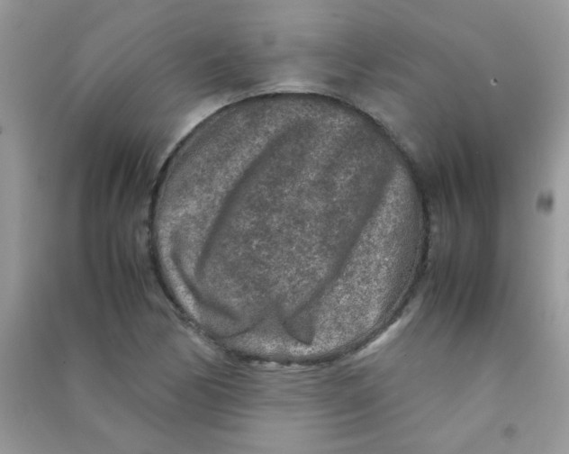 X0000090621170200708141406