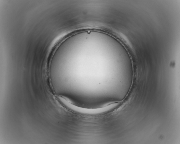 X0000090621172200708141406