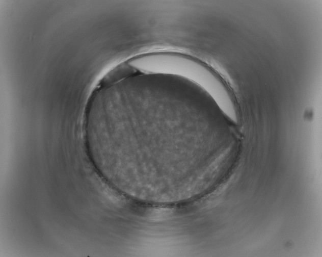 X0000090621173200708141406