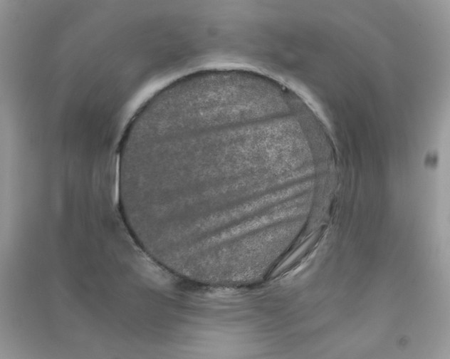 X0000090621175200708141406