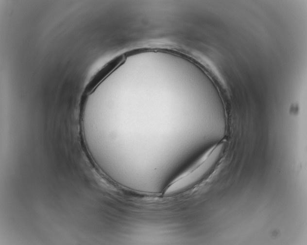 X0000090621176200708141406