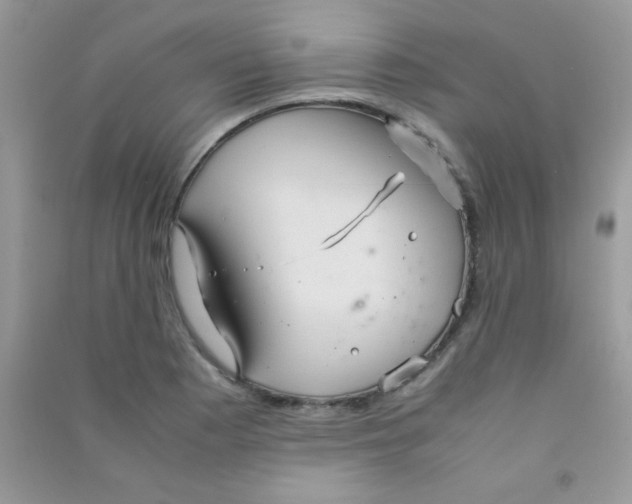 X0000090621177200708141406