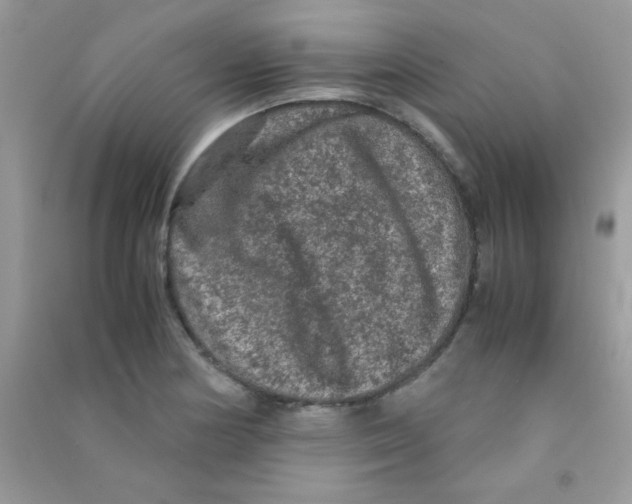 X0000090621178200708141406