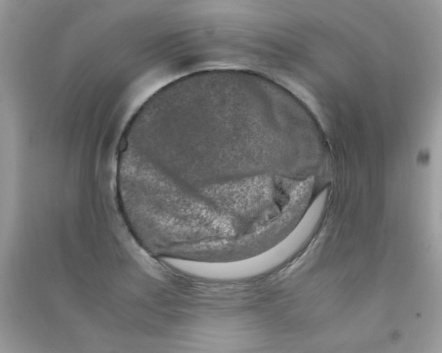 X0000090621179200708141406