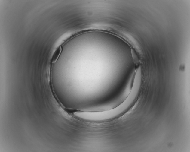 X0000090621180200708141406