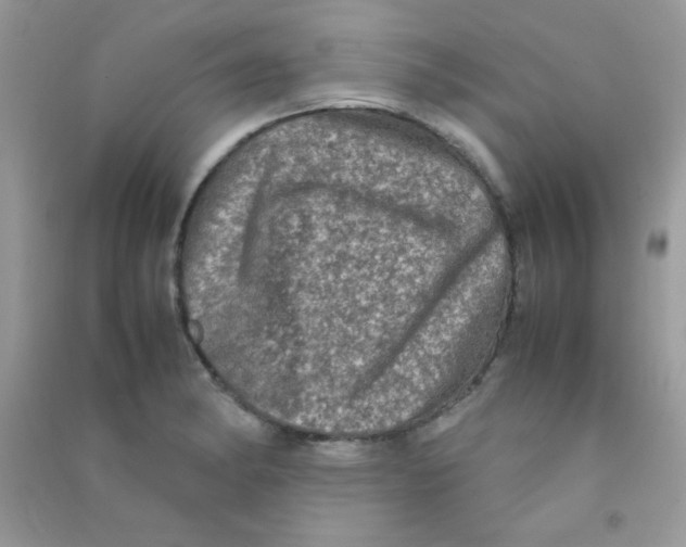 X0000090621182200708141406