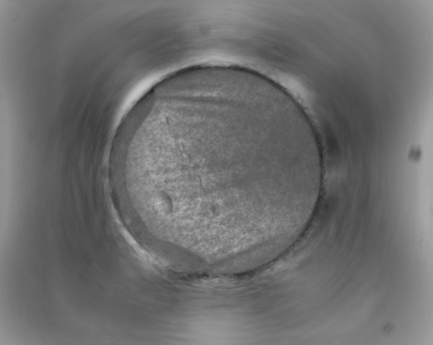 X0000090621183200708141406