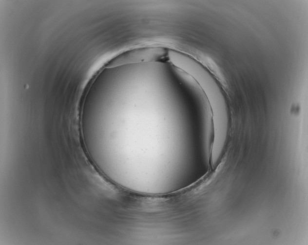 X0000090621184200708141406