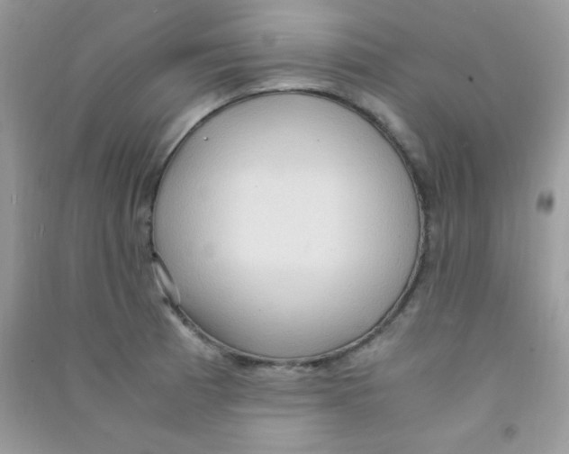 X0000090621185200708141406