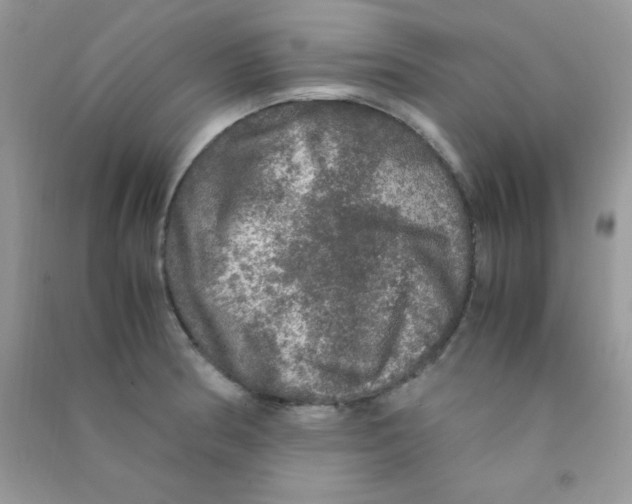 X0000090621186200708141406