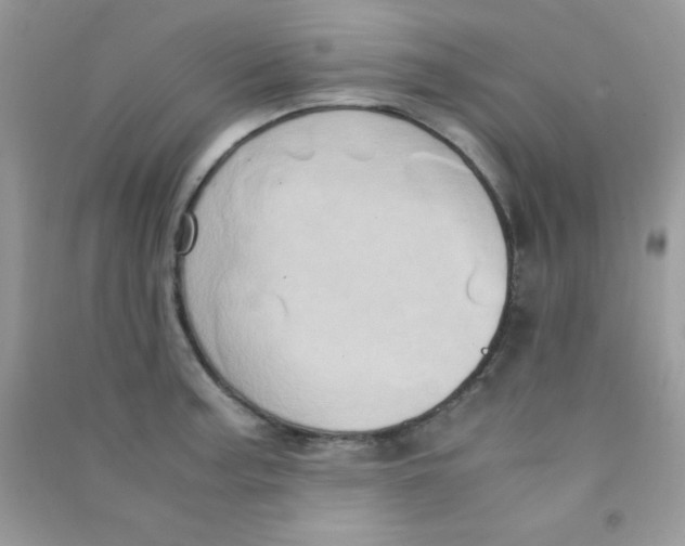 X0000090621187200708141406