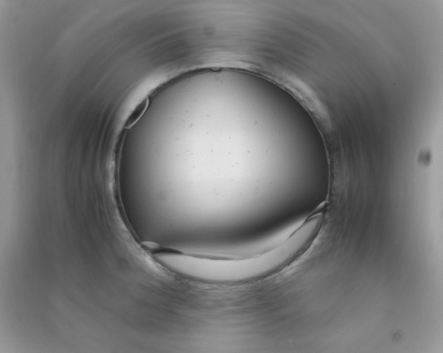 X0000090621188200708141406