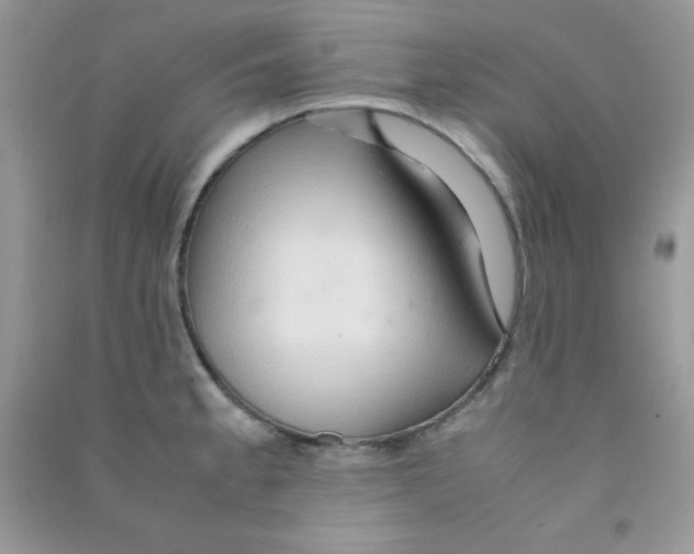 X0000090621189200708141406