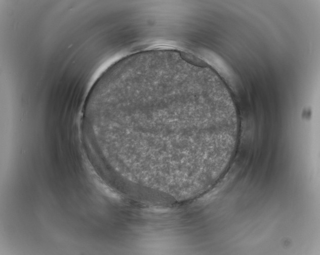 X0000090621190200708141406