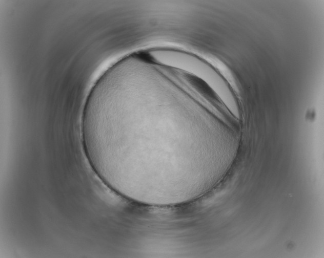 X0000090621191200708141406