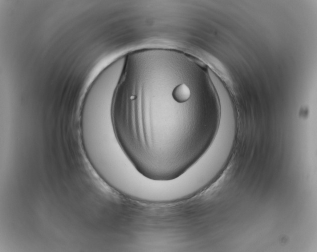 X0000090621192200708141406