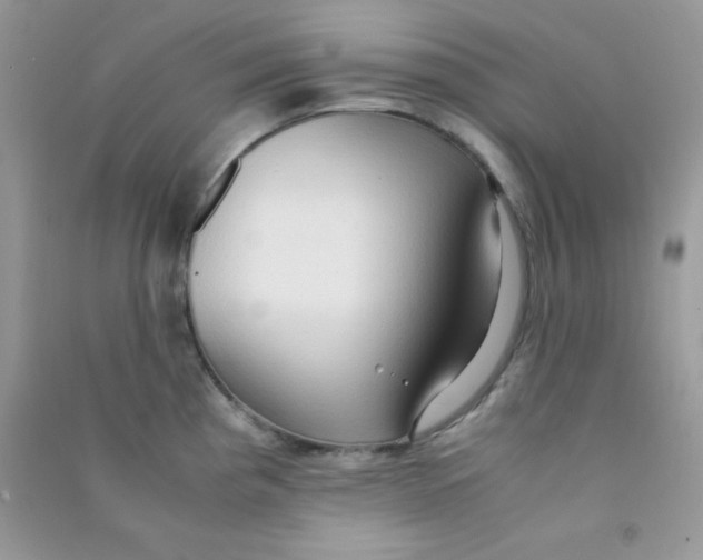 X0000090621193200708141406