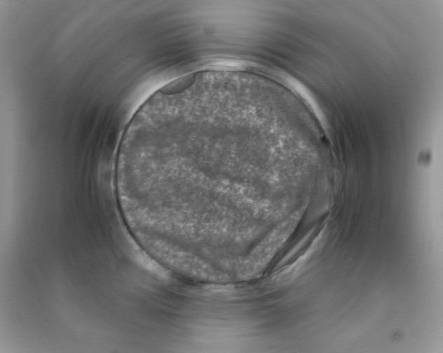 X0000090621194200708141406