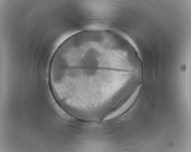 X0000090621195200708141406