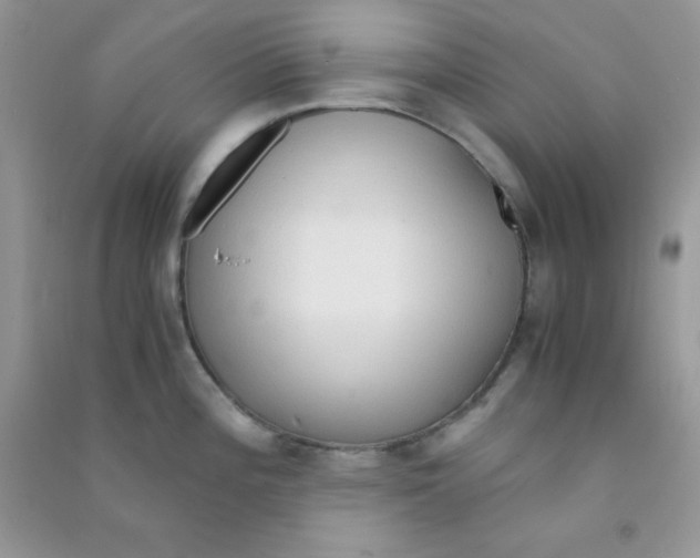 X0000090621196200708141406