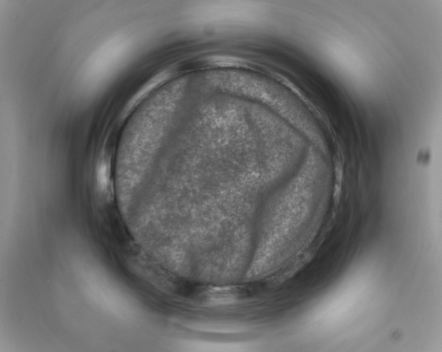 X0000090621198200708141406